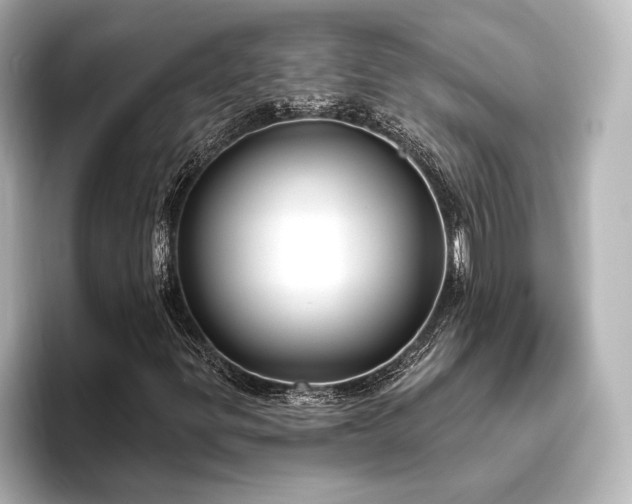 X0000096491299200801241456