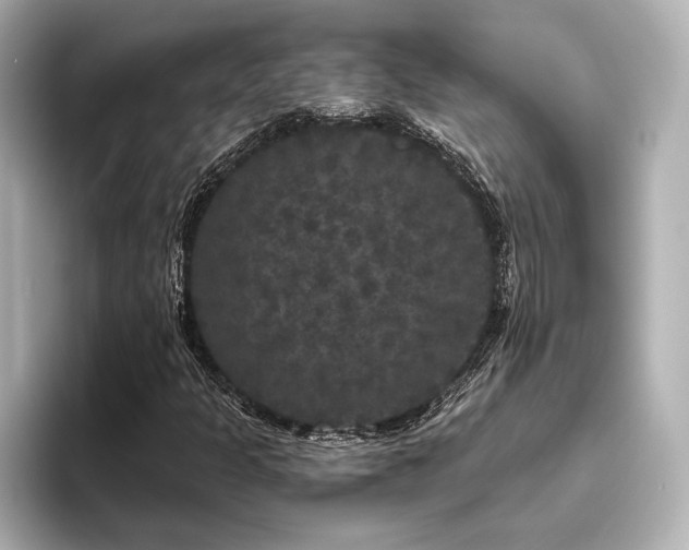 X0000096491301200801241456