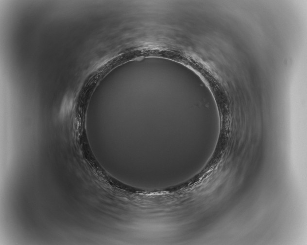 X0000096491303200801241456
