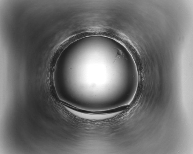 X0000096491304200801241456