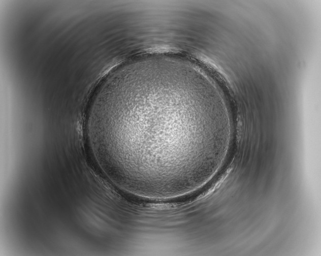 X0000096491305200801241456