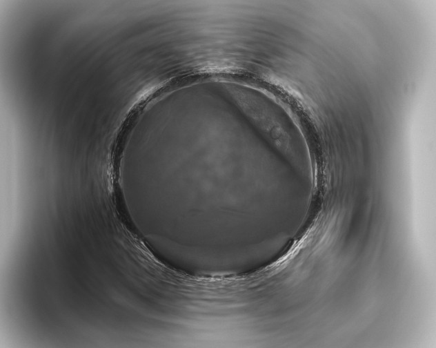 X0000096491306200801241456