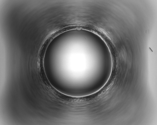 X0000096491307200801241456