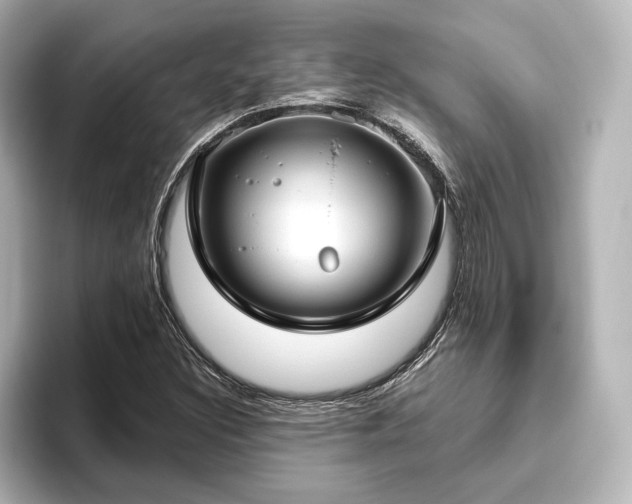 X0000096491308200801241456