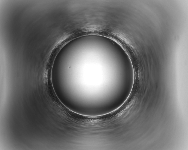 X0000096491309200801241456