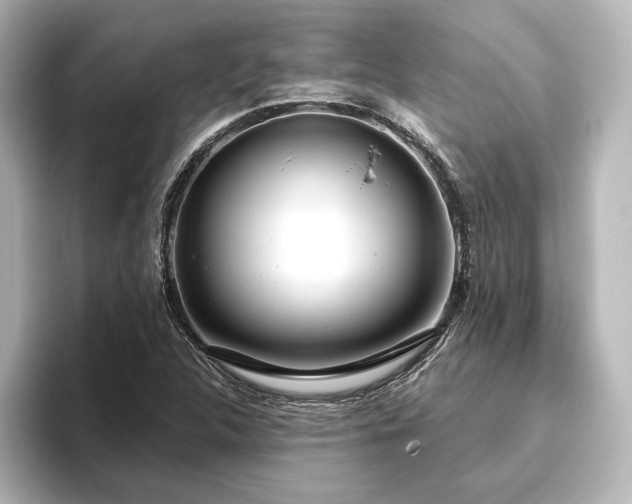 X0000096491312200801241456
