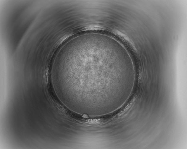 X0000096491313200801241456