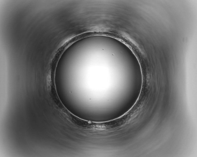 X0000096491315200801241456
