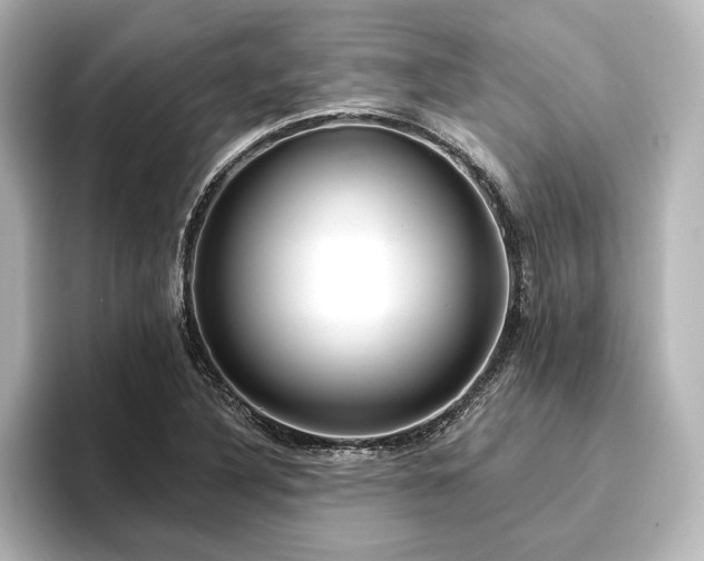 X0000096491316200801241456