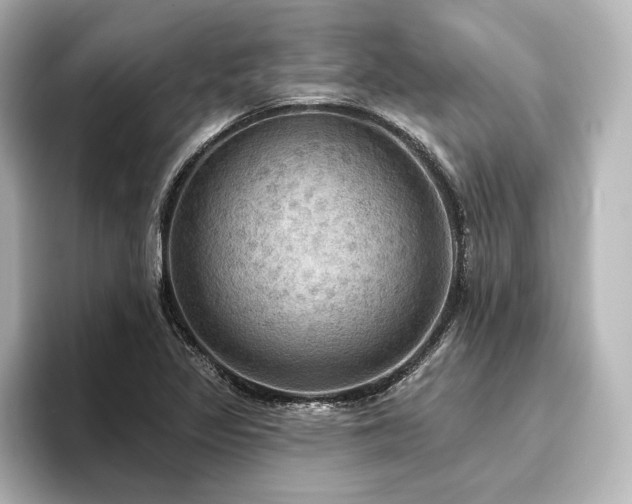 X0000096491317200801241456