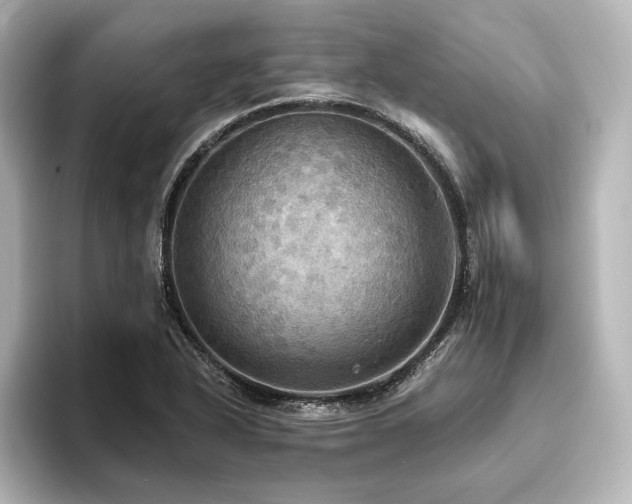 X0000096491318200801241456