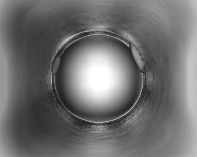 X0000096491320200801241456