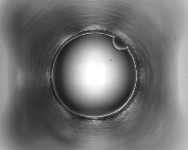 X0000096491321200801241456