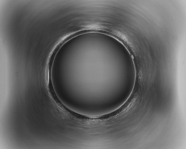 X0000096491323200801241456