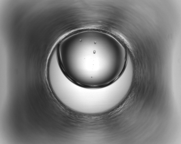 X0000096491324200801241456