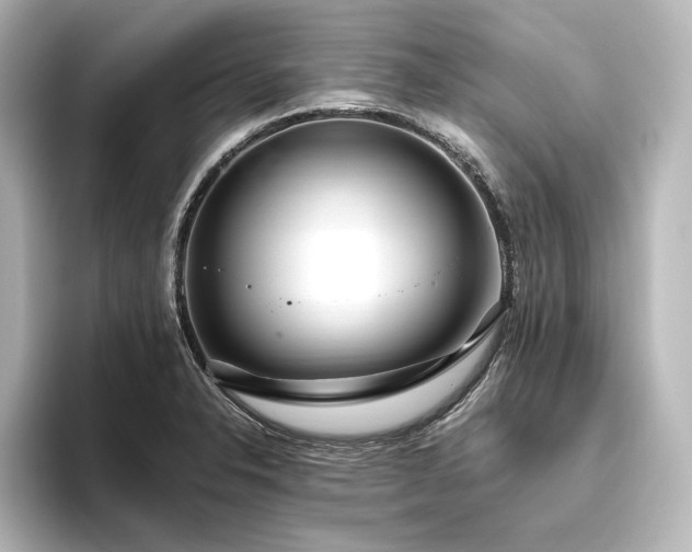 X0000096491326200801241456