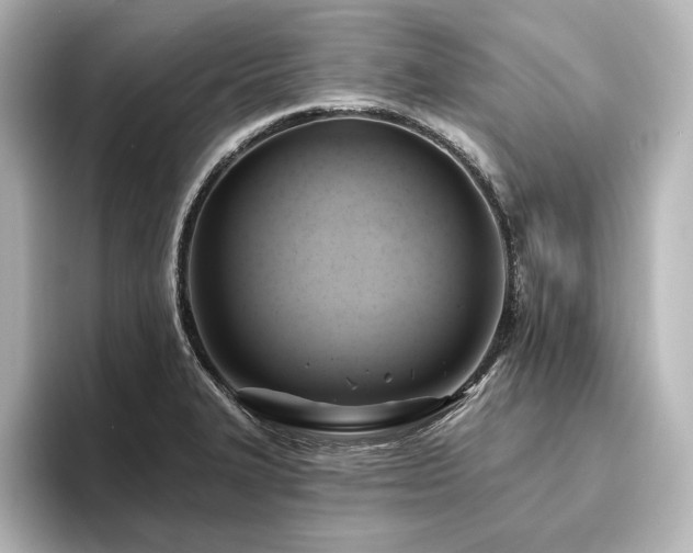 X0000096491327200801241456