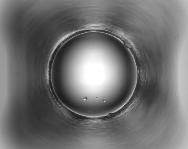 X0000096491328200801241456