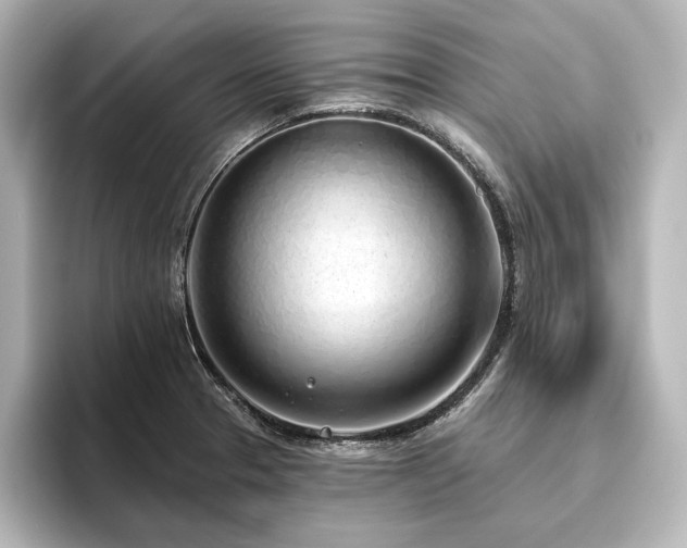 X0000096491329200801241457