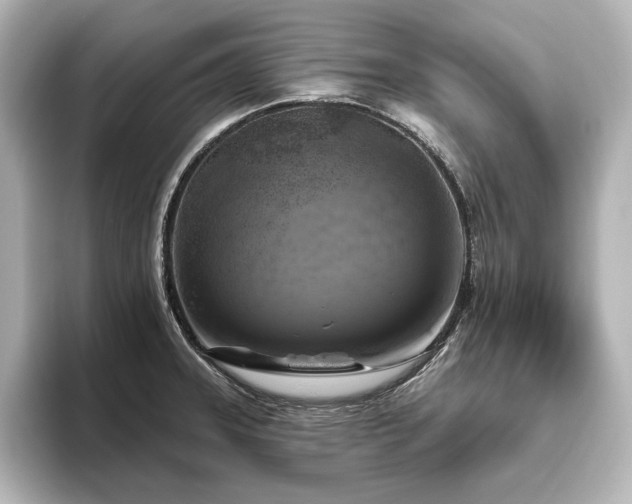 X0000096491331200801241457