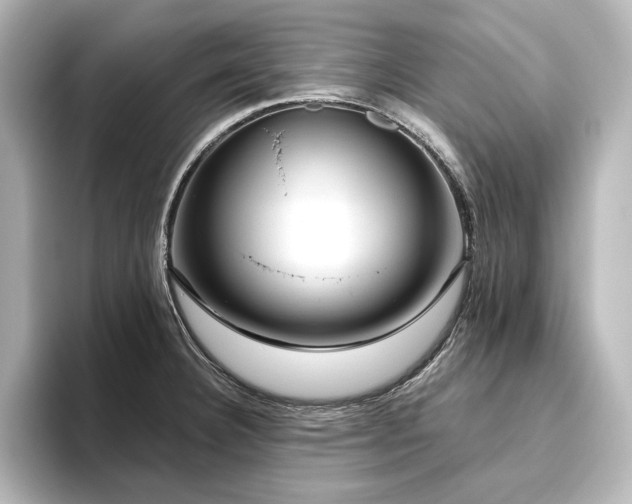 X0000096491332200801241457
