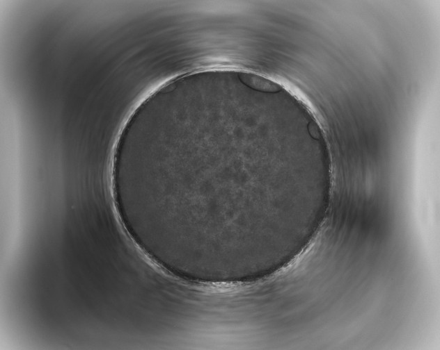 X0000096491333200801241457
