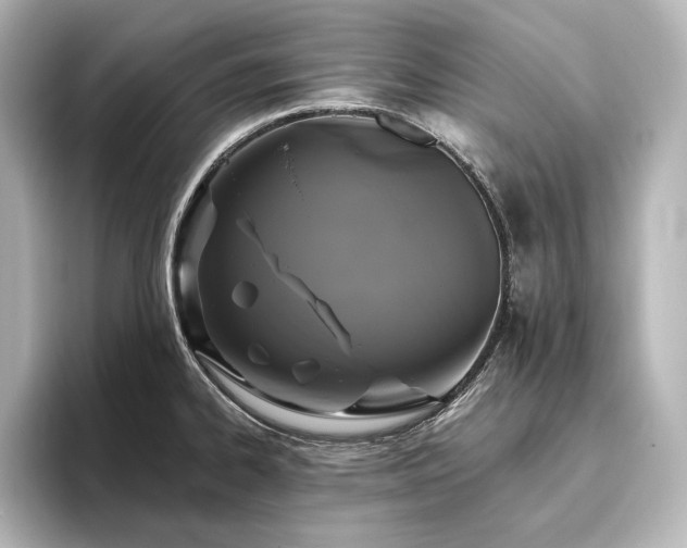 X0000096491334200801241457