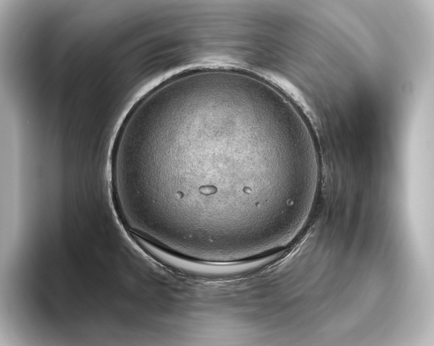 X0000096491335200801241457