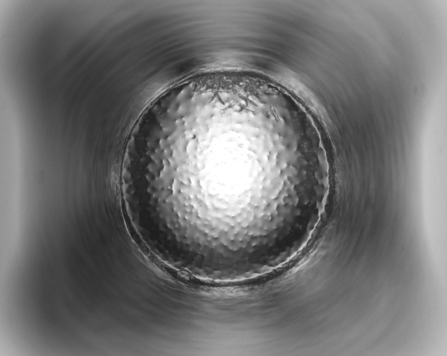 X0000096491337200801241457