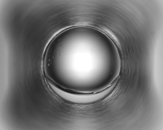 X0000096491340200801241457