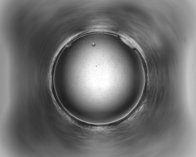 X0000096491341200801241457