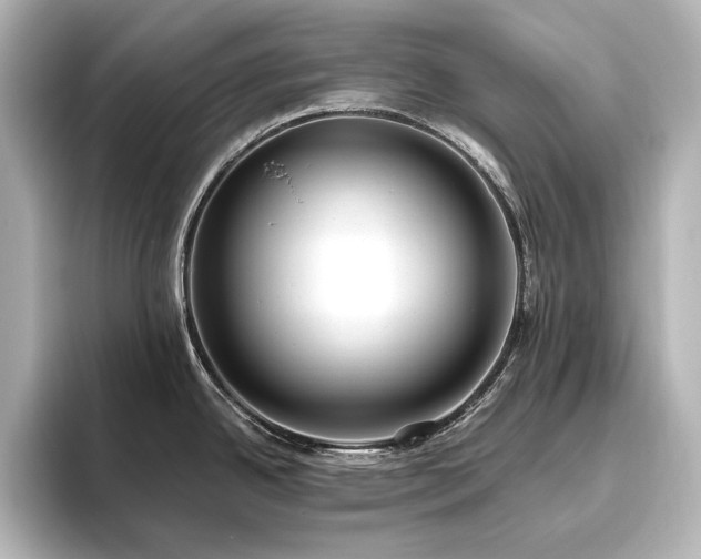 X0000096491342200801241457