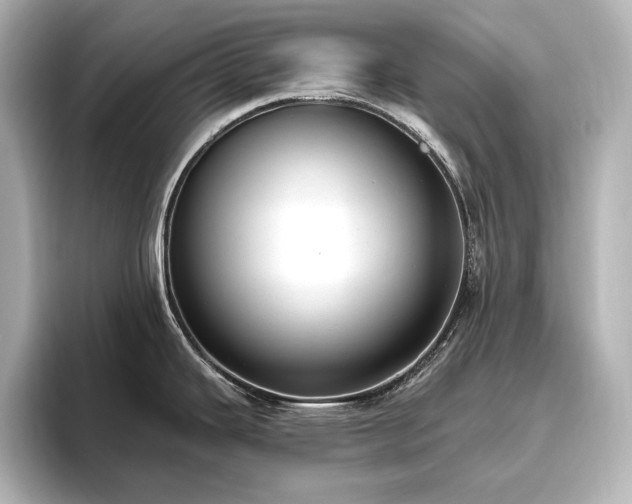 X0000096491343200801241457