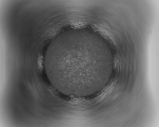 X0000096491346200801241456