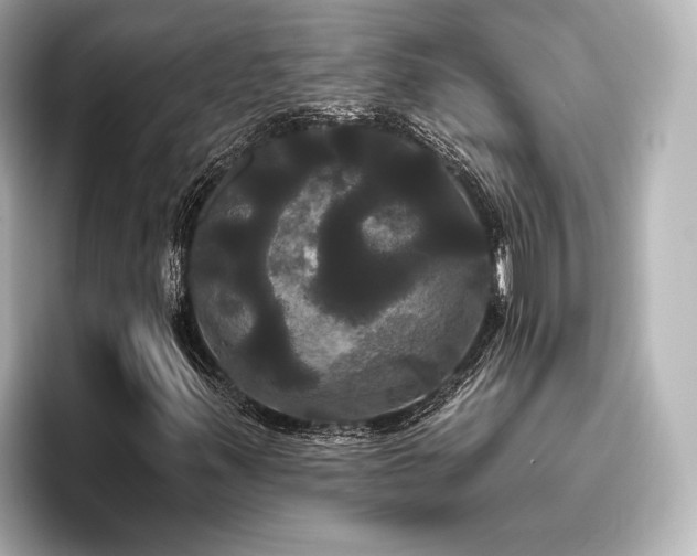 X0000096491347200801241456