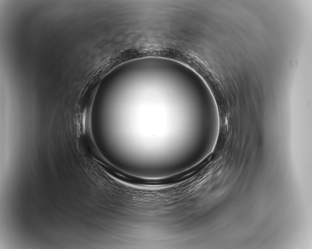 X0000096491348200801241456