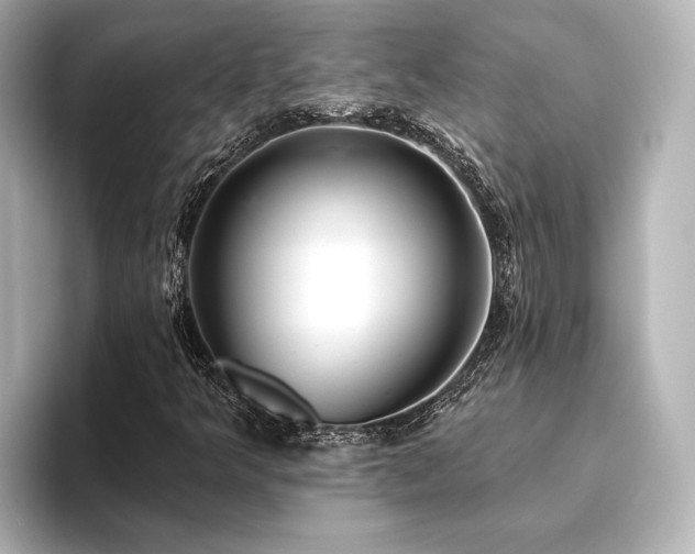 X0000096491349200801241456