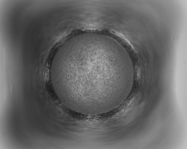 X0000096491350200801241456