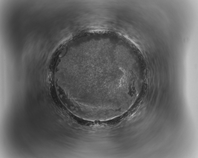 X0000096491351200801241456
