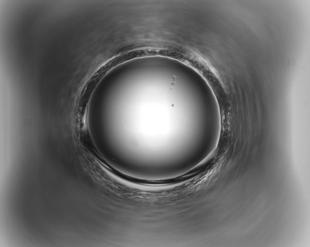 X0000096491352200801241456