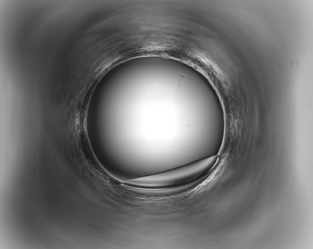 X0000096491353200801241456