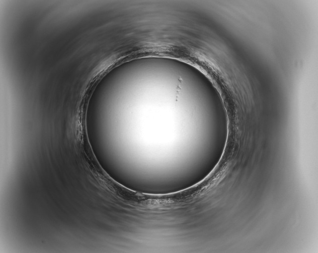X0000096491354200801241456