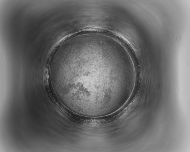 X0000096491355200801241456