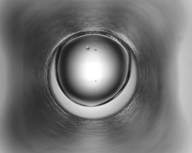 X0000096491356200801241456