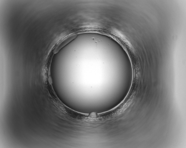 X0000096491357200801241456