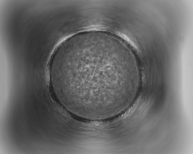 X0000096491358200801241456