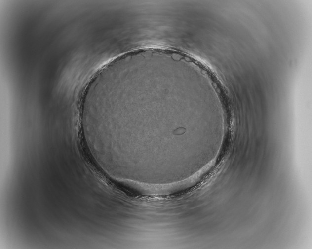 X0000096491359200801241456