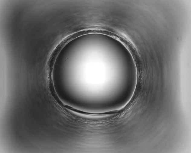 X0000096491360200801241456