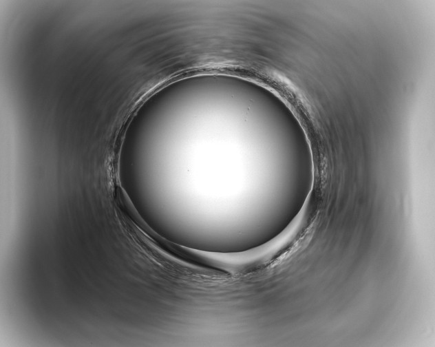 X0000096491361200801241456