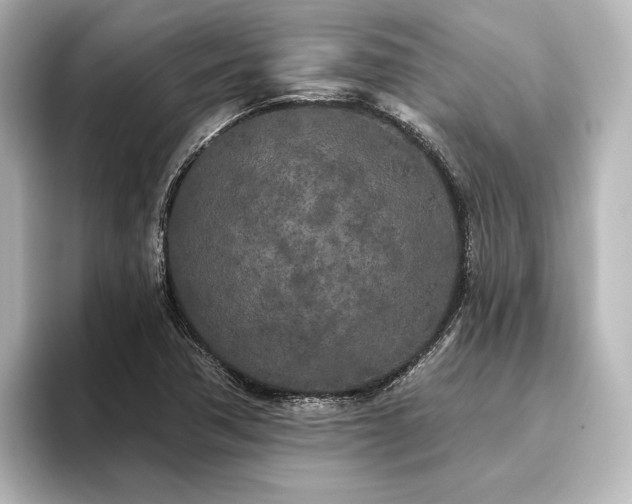 X0000096491362200801241456